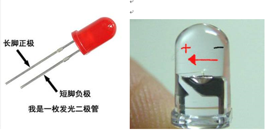 發光二極管的正負極